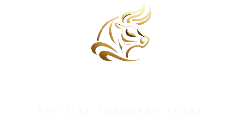 BlackTorro